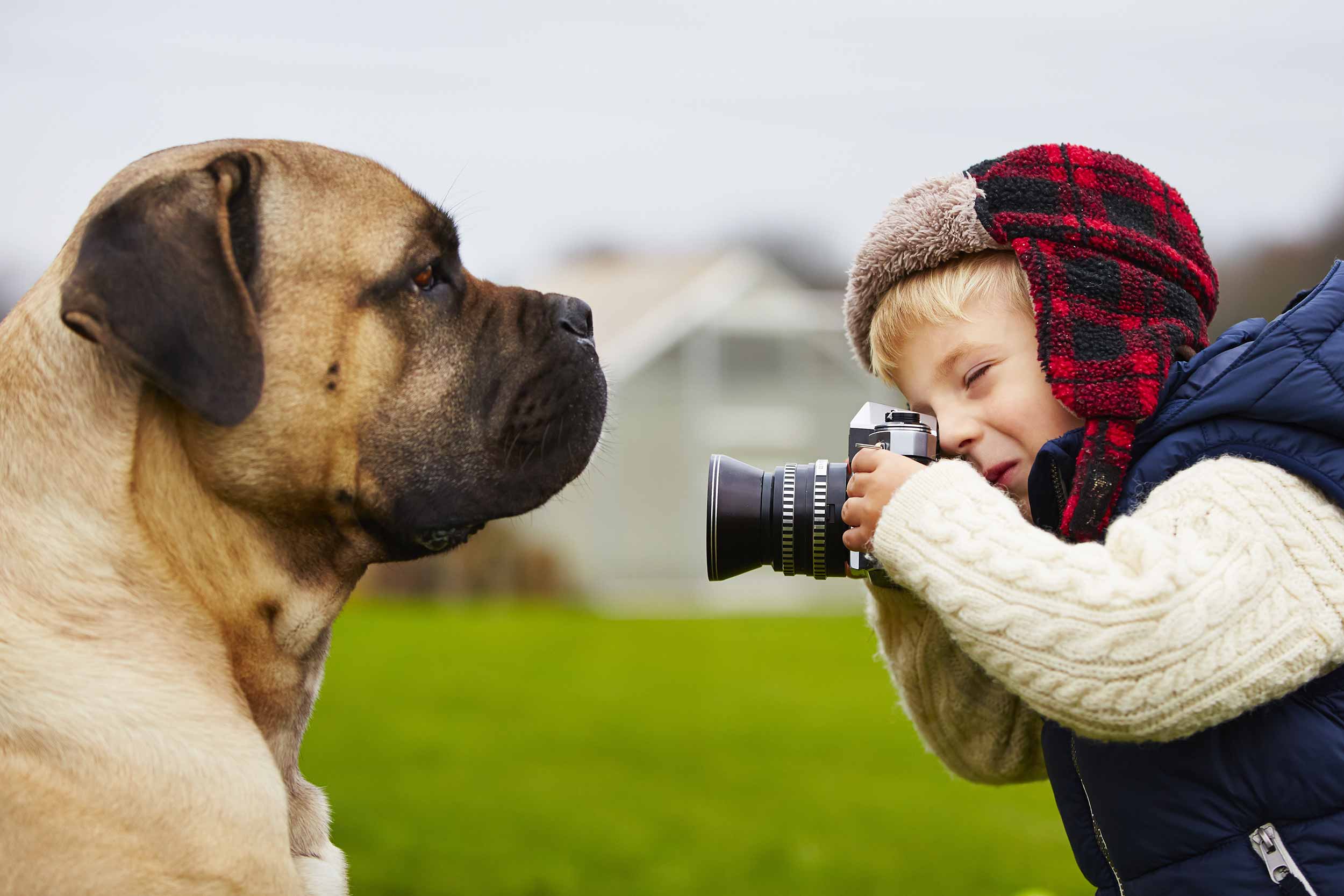 Taking pictures перевод. Фотоконкурс собак. Фотоконкурс домашних животных. Фотоконкурс для щенков. Фотоконкурс домашних питомцев.