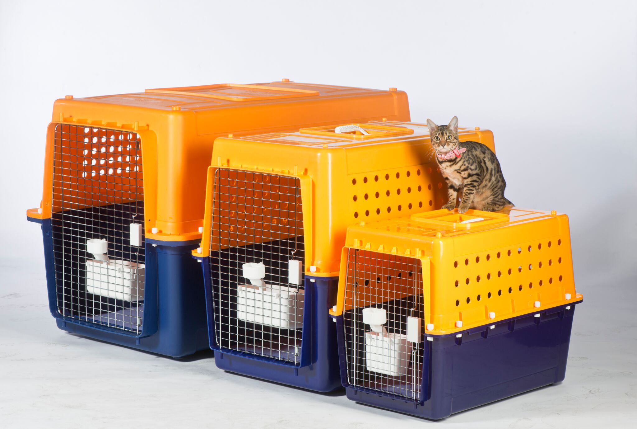 pet crates for international travel