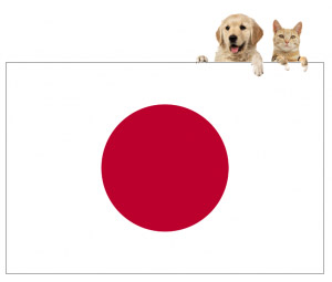 can you bring dogs and cats into japan